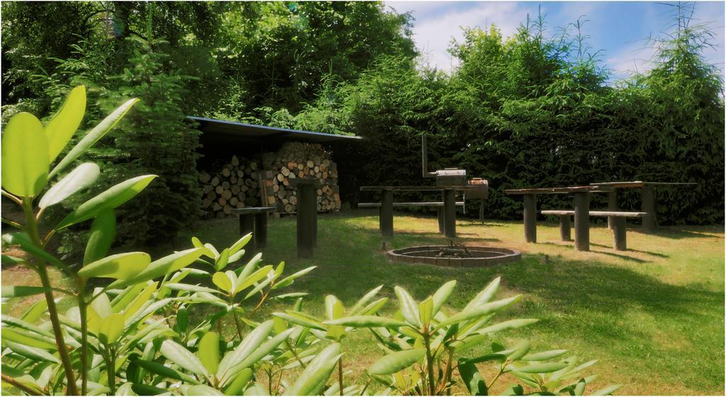 Pension U Lipy Bynovec Экстерьер фото